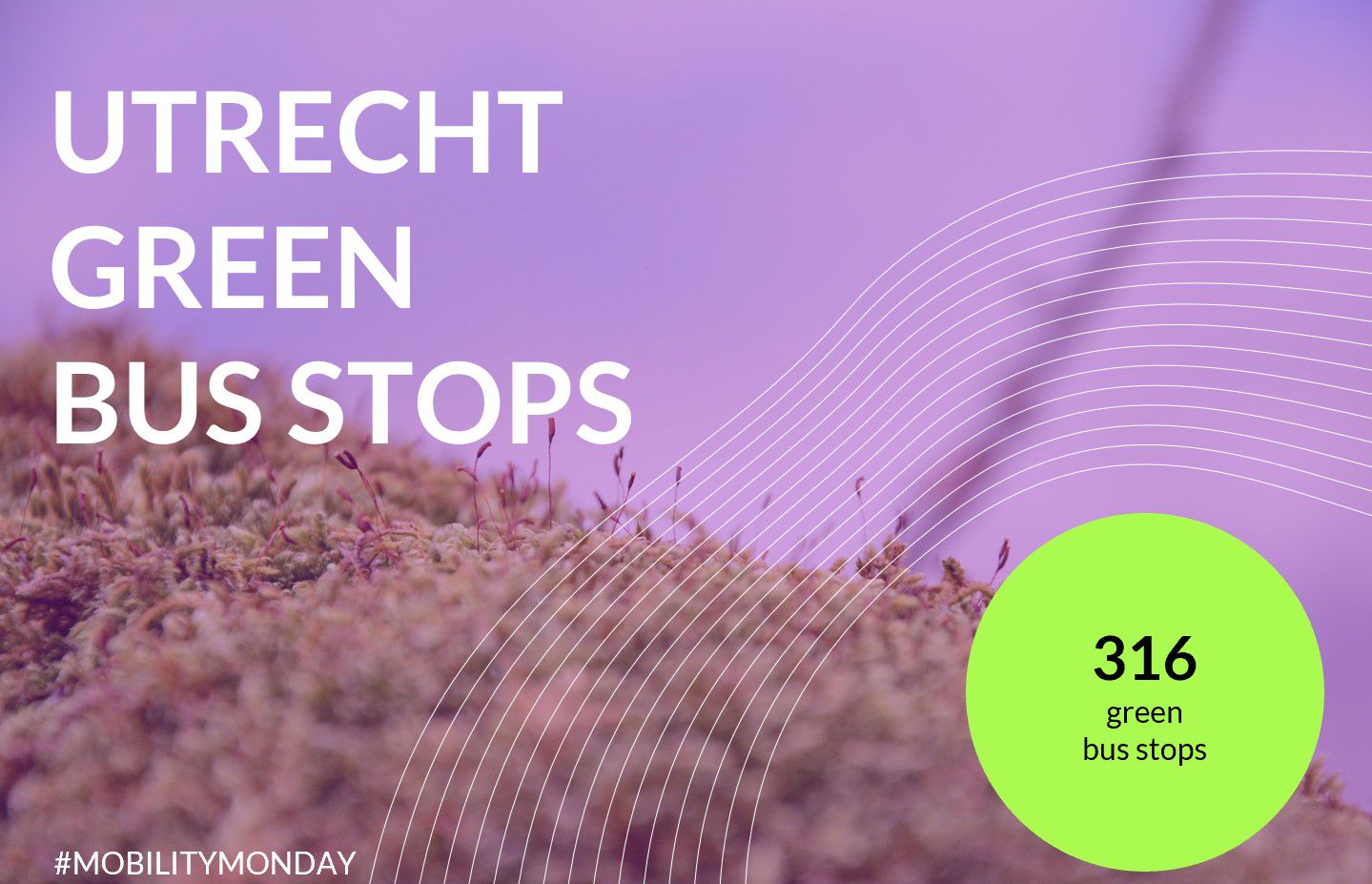 Utrecht Green Bus Stops